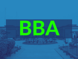 Best BBA College in Delhi/ echeon institute of Technology 