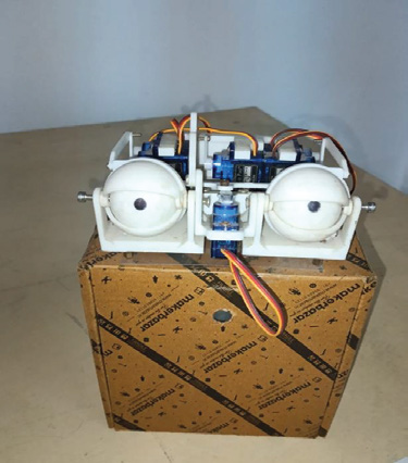 Student-built robotic eyes prototype